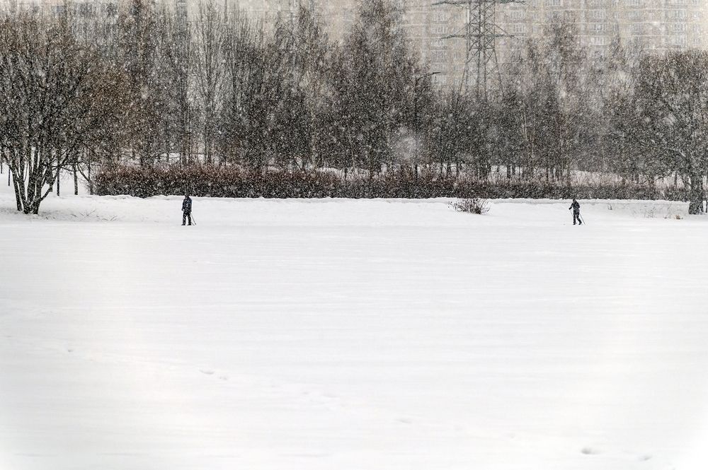 В зимнем парке