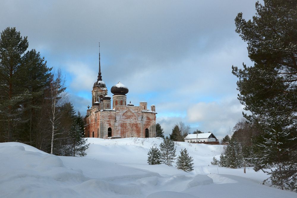 И зубры любят красоту!
