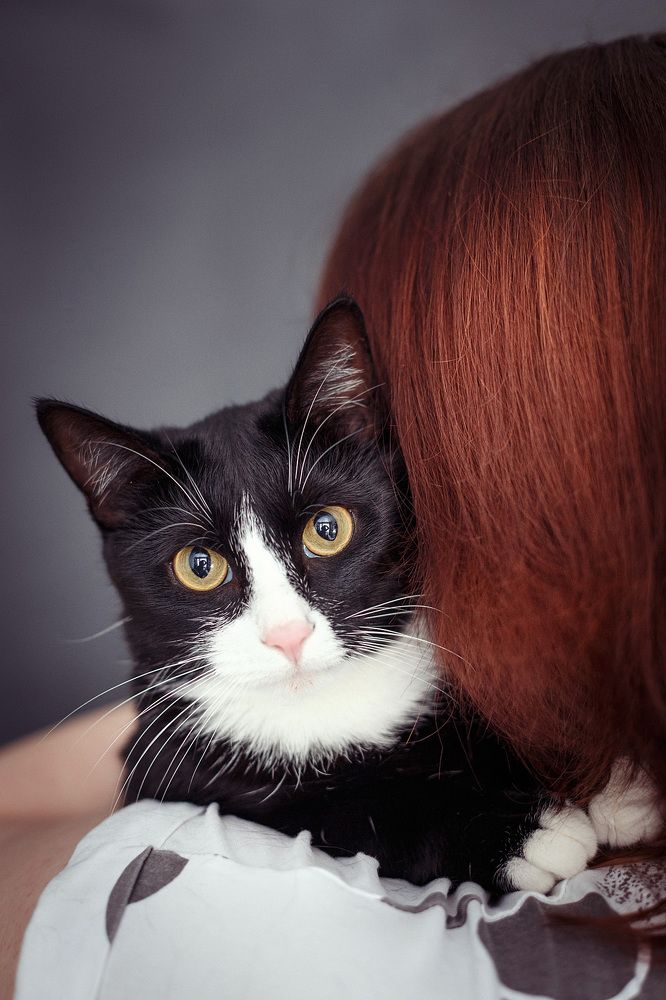 Юля и Кошмарик