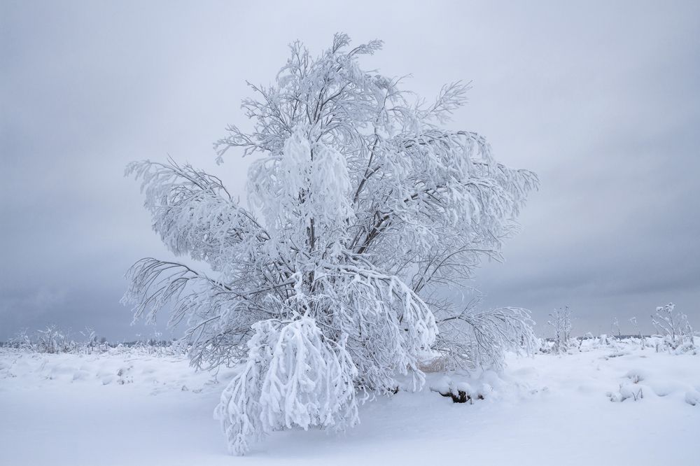 В снежном плену