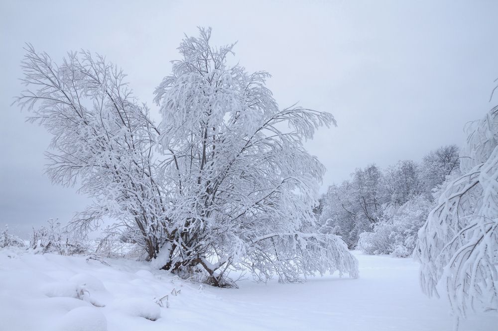 В снежном плену