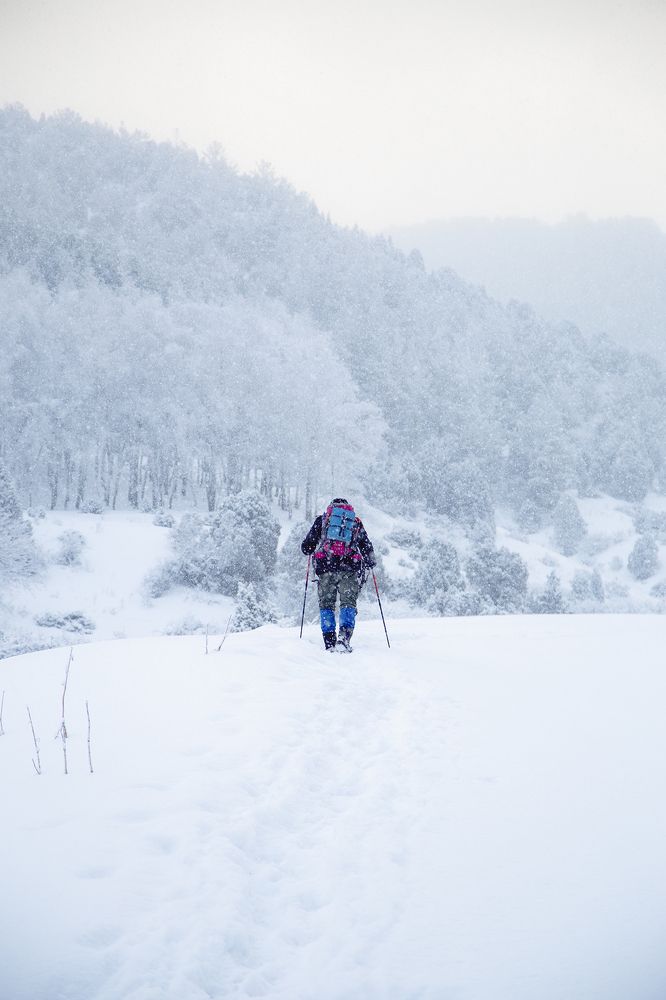 Snowfall