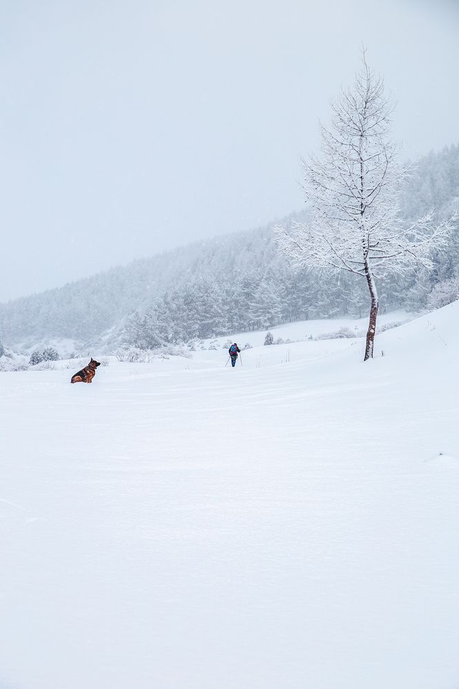 Snowfall