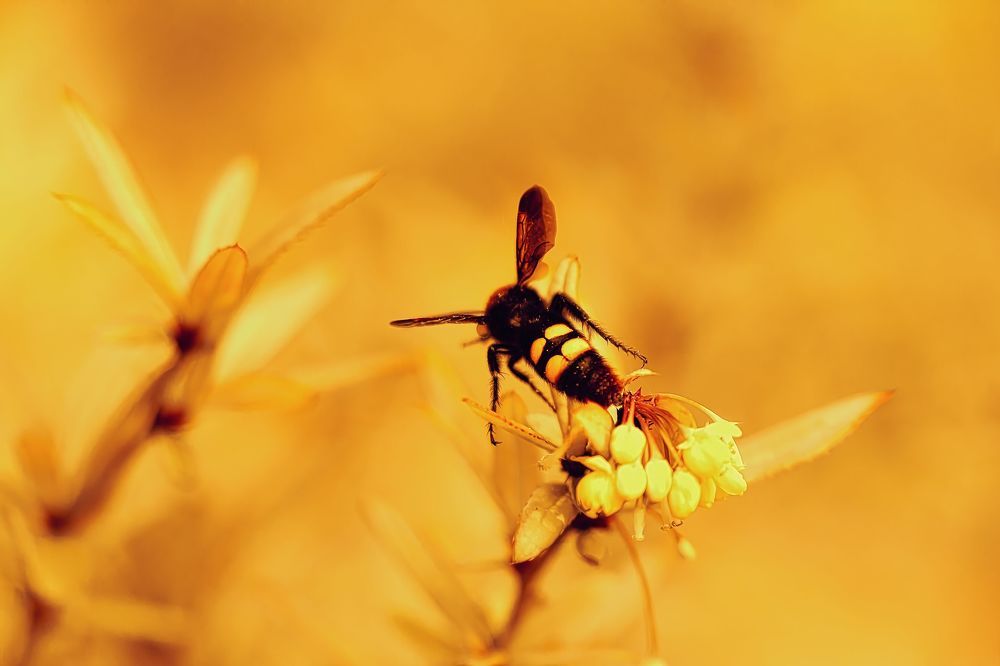 Photo 2558845