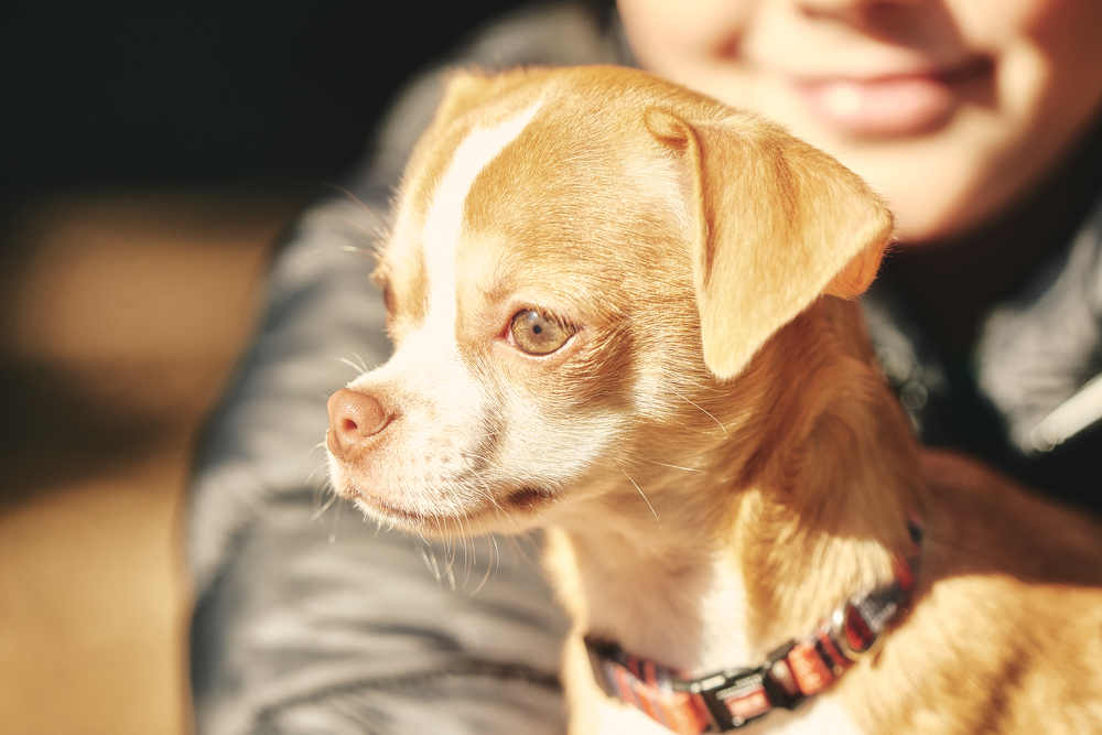 Photo 2558864