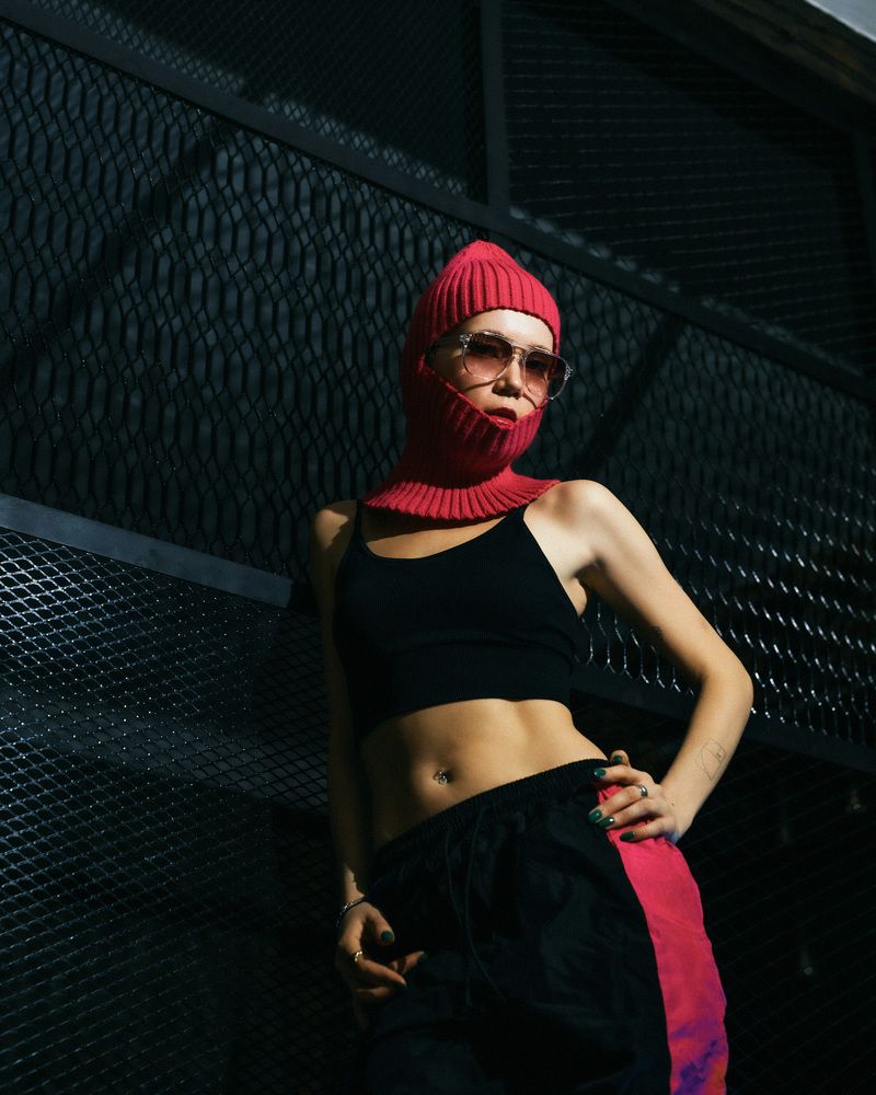 Vlada