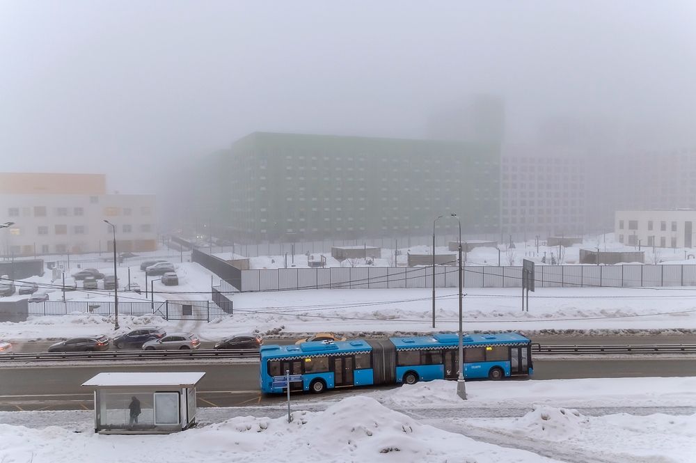 Февральский туман