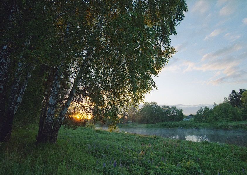утро 1 июня