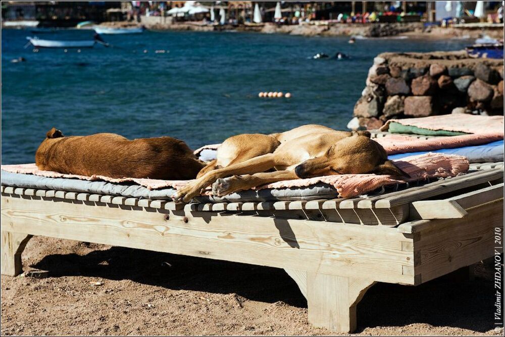 All inclusive