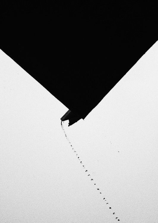 black vs white