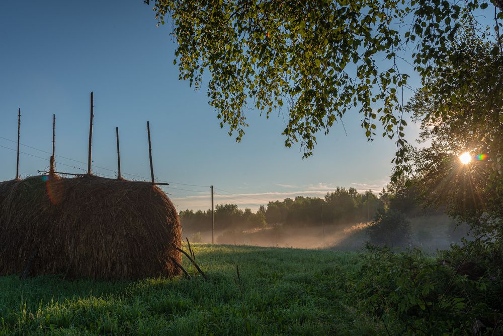 Фото на модерацию.