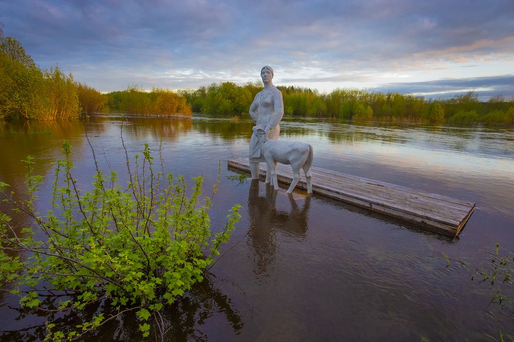 Виды деревни Костинская