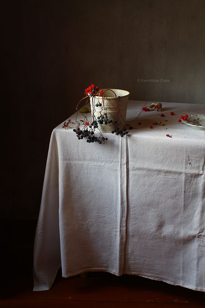 Photo 2561540