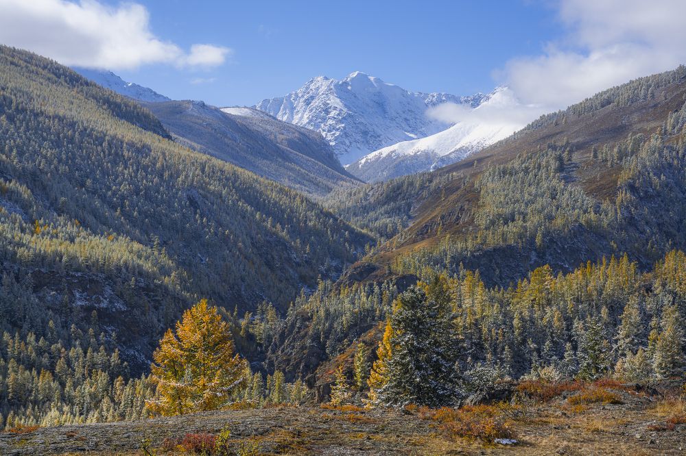 Осенью в горах