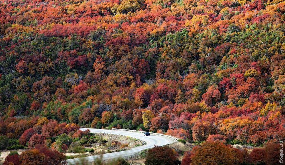 Bariloche. Argentina