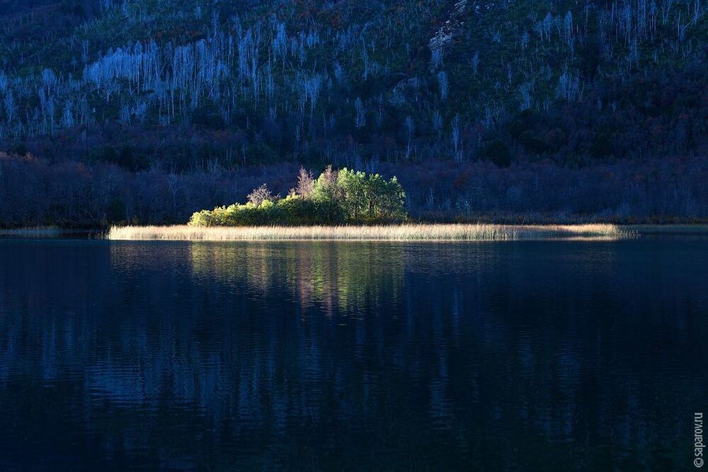 Laguna Herradura. Argentina