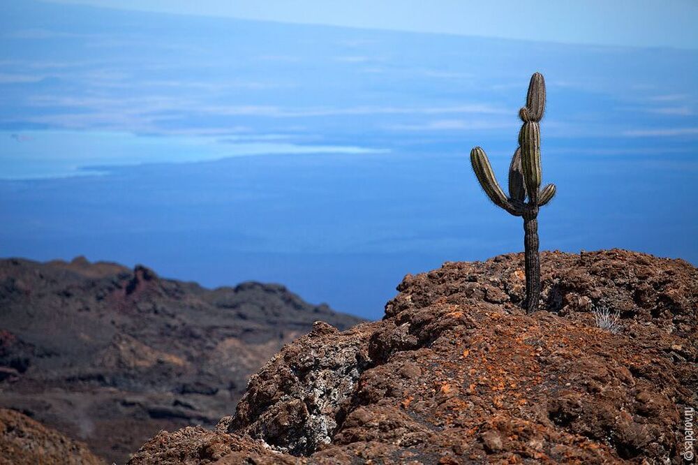 Las Islas Gal&aacute;pagos. Equador.