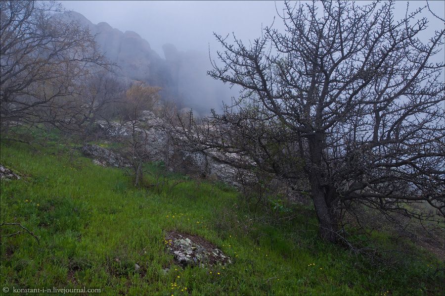 Misty morning