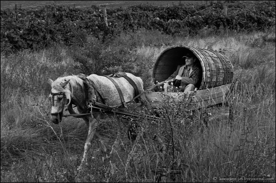 Diogenes on wheels
