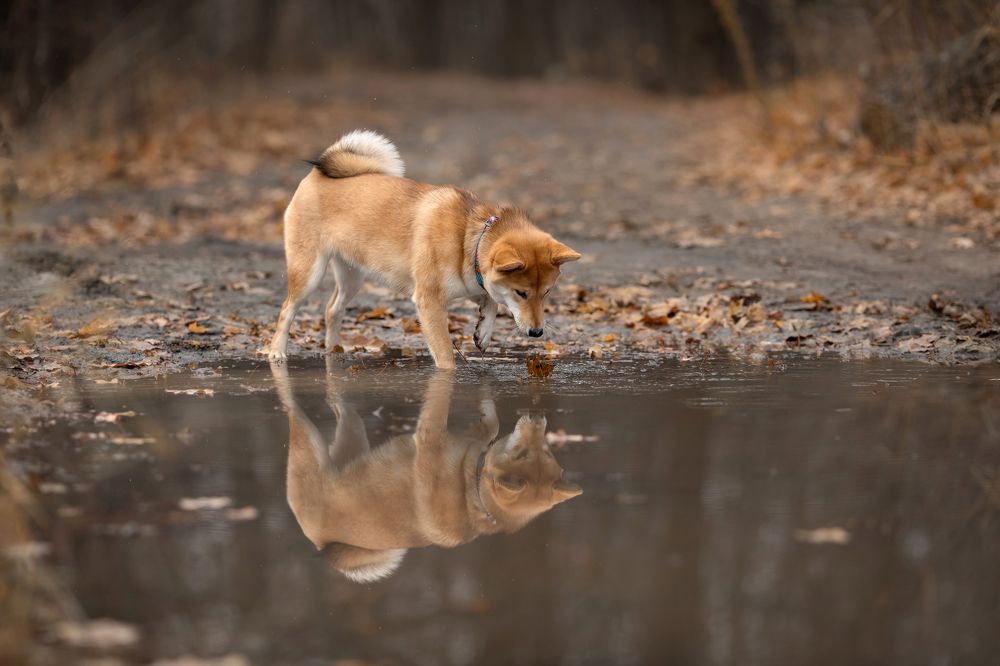 Photo 2572618