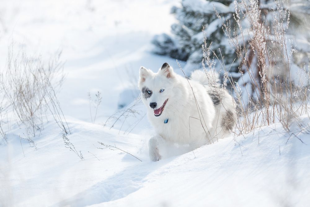 Photo 2572621