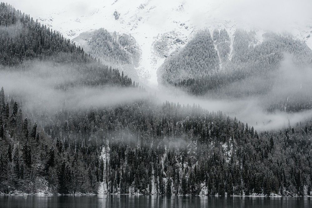 Photo 2573219