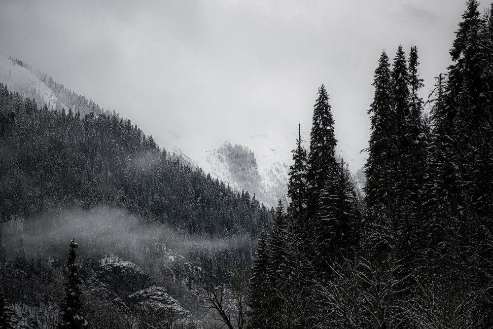 Photo 2573220