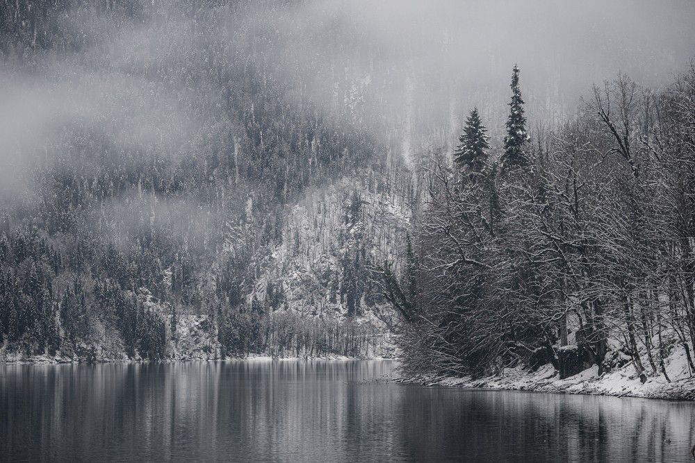 Photo 2573221