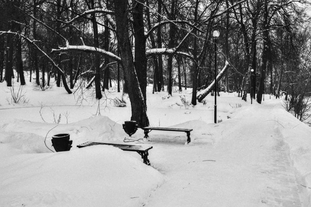 Прогулка в парке Лопасня-Зачатьевское, город Чехов. 