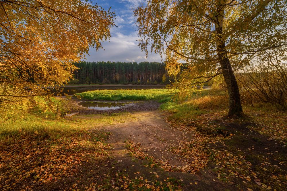 Золотая осень на маленькой речке