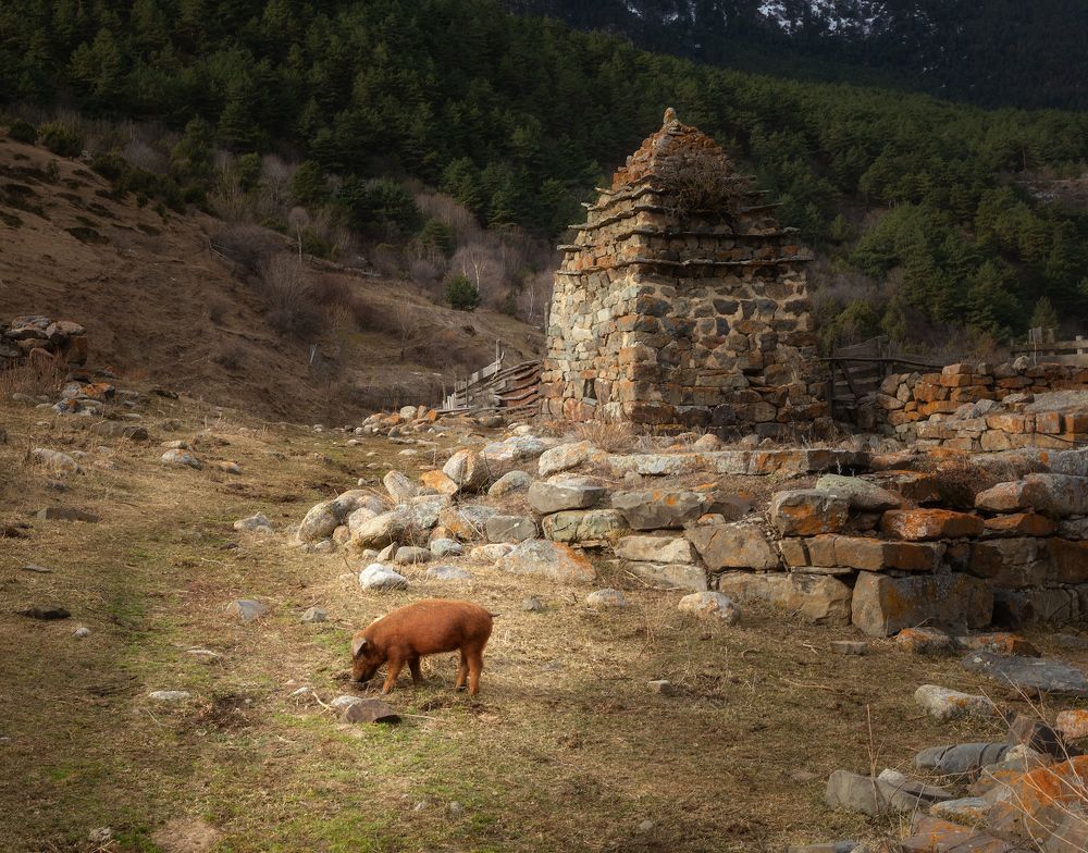 Осетинская пастораль