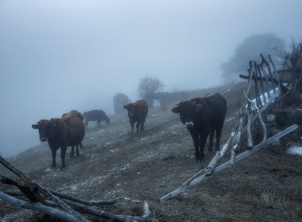Осетинская пастораль