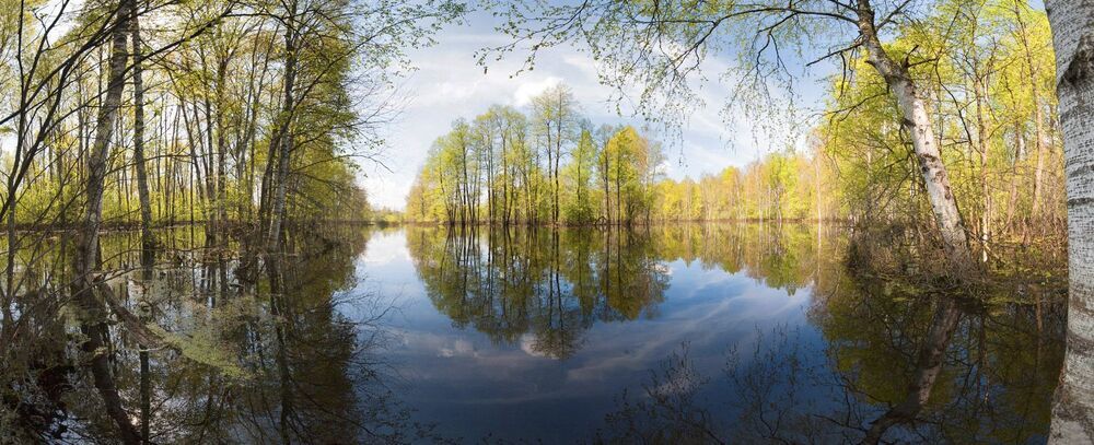 Пока я гулял по пояс в воде, выглянуло солнце и все стало гораздо красочнее...