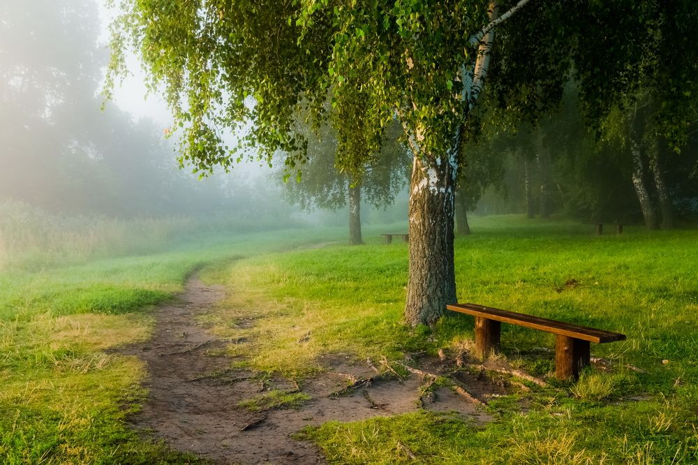 Лето в своем великолепии