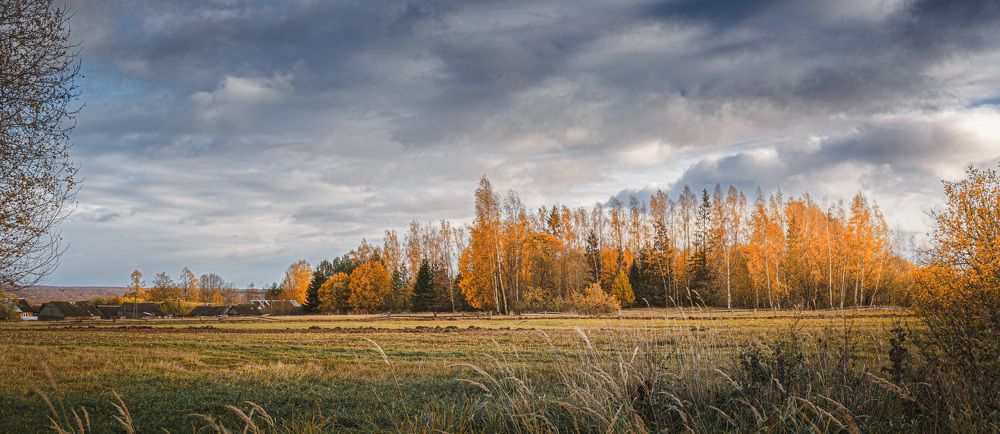 Осеннее...
