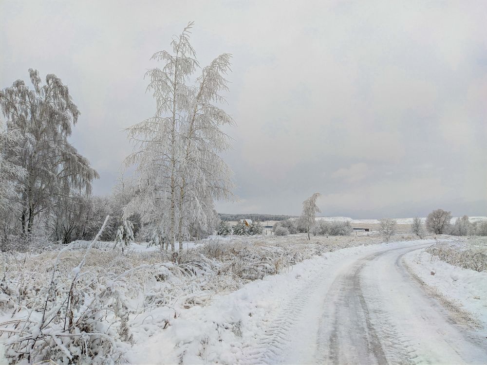 Photo 2589793