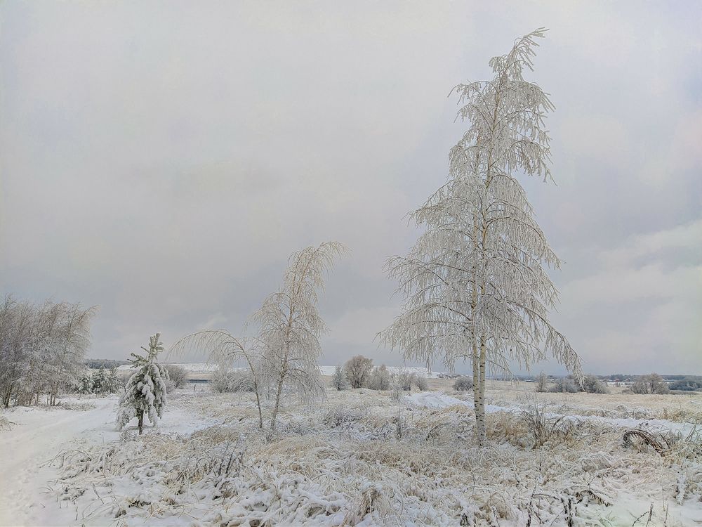 Photo 2589794