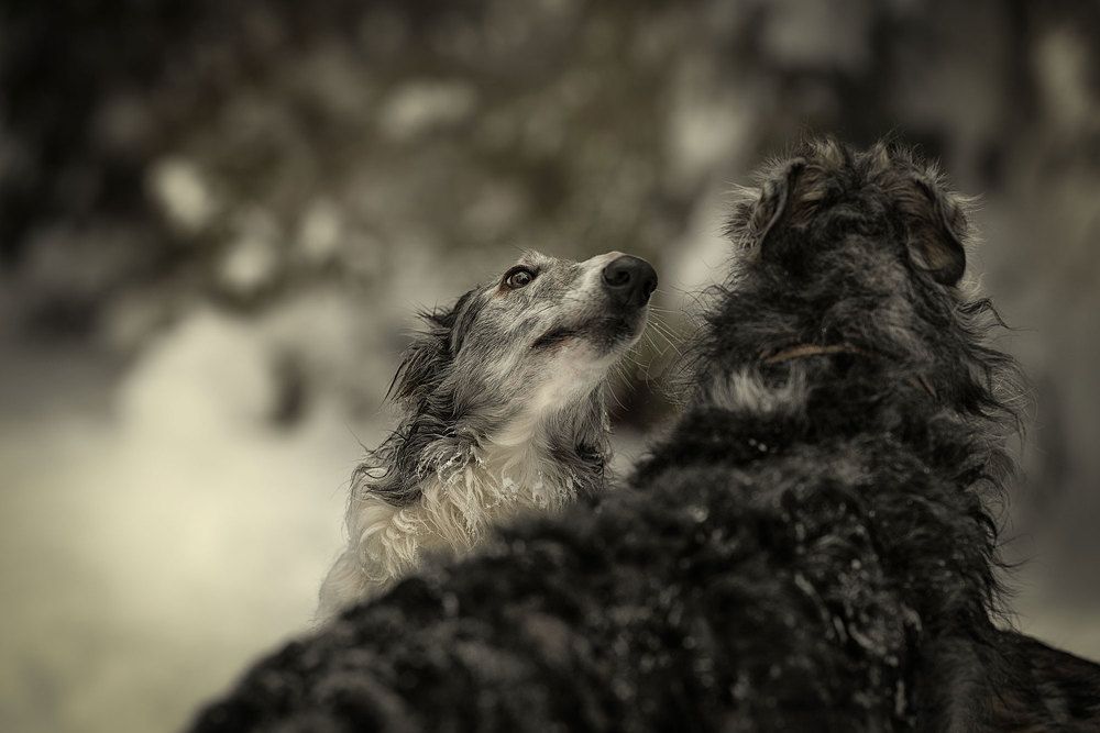 Photo 2594122