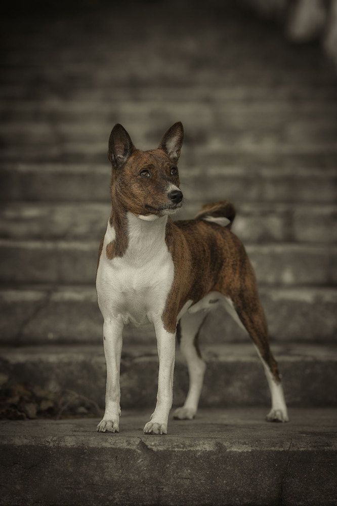 Photo 2594125