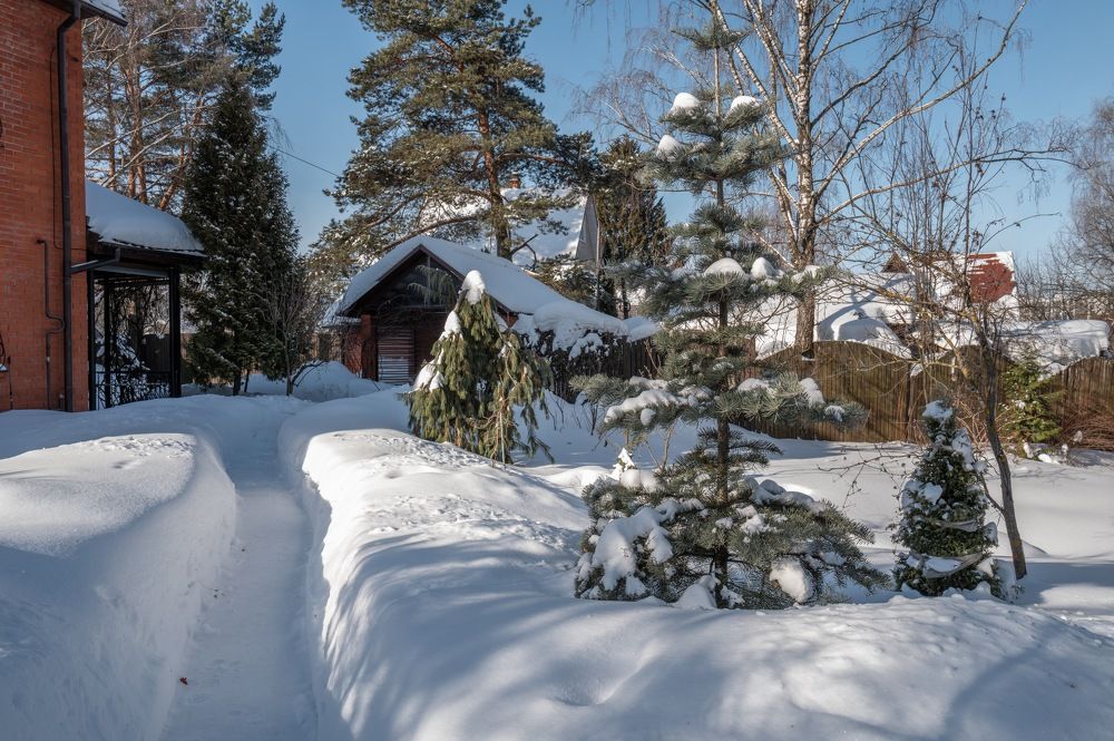 Февральские подмосковные зарисовки