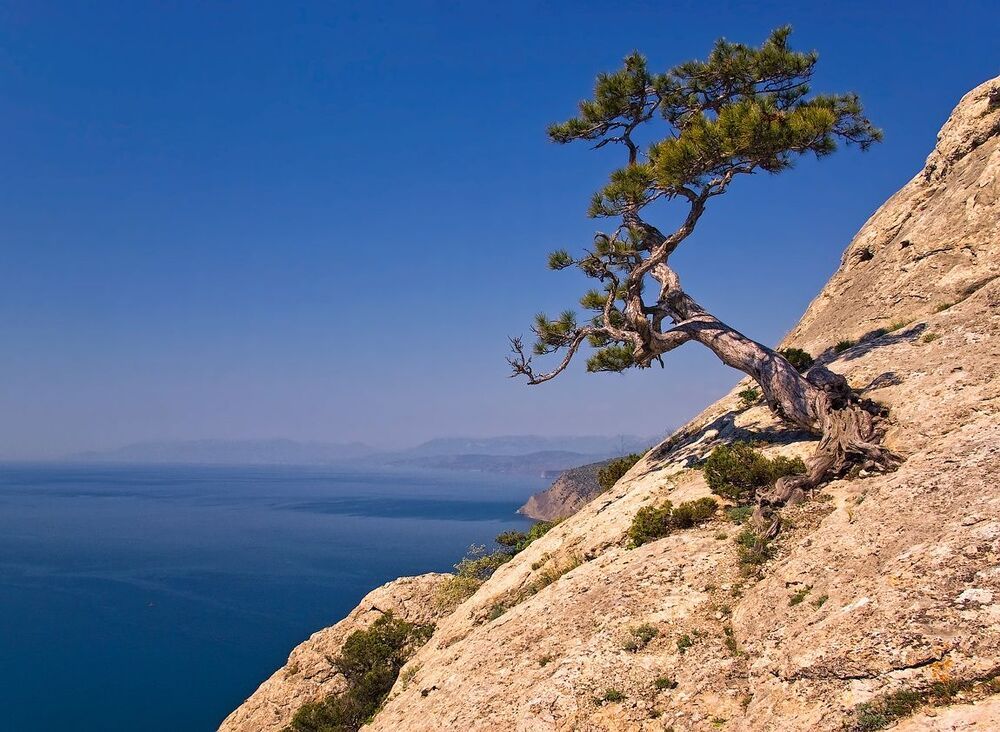 Где-то в раю