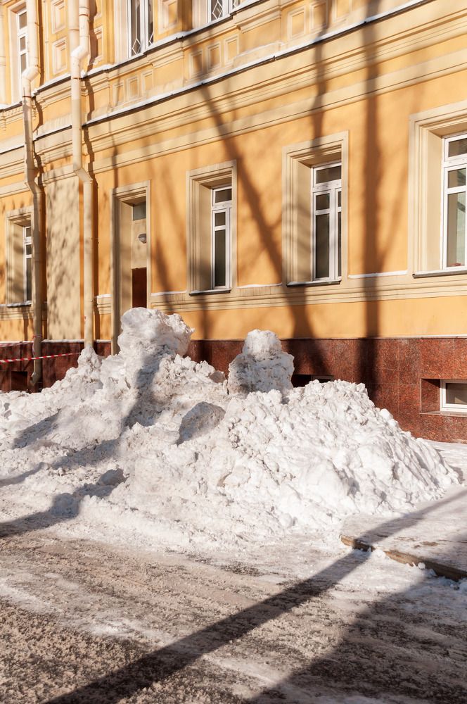 Москва, февраль, 2024г.