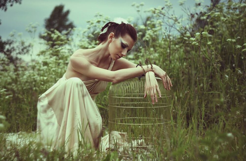 Bird