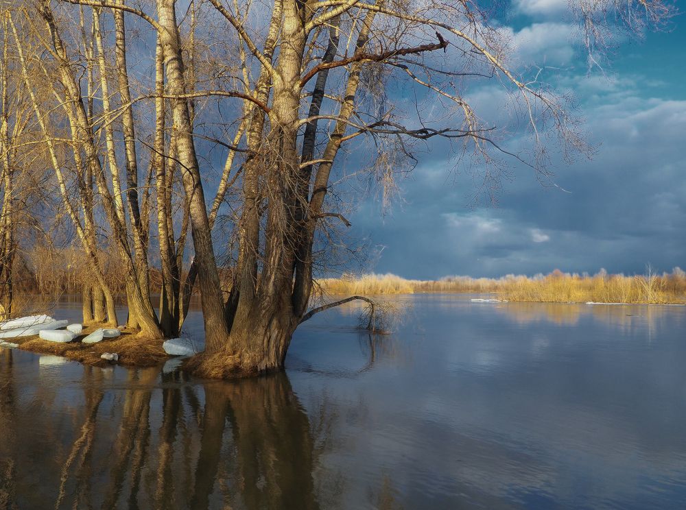 Весна