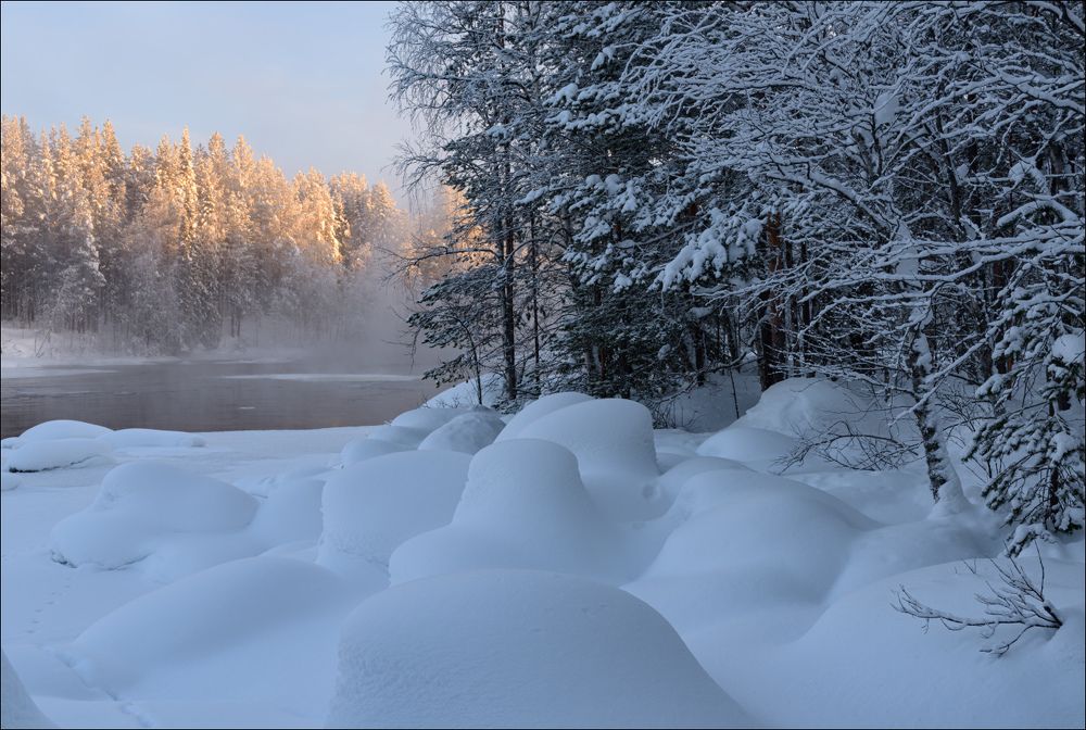 Безе северное