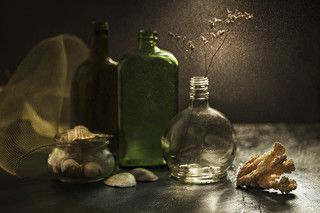 натюрморт с кораллам