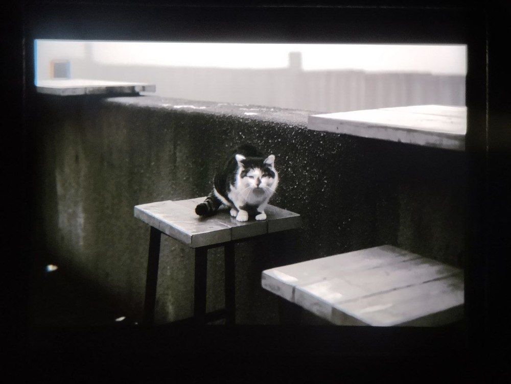 Photo 2615748