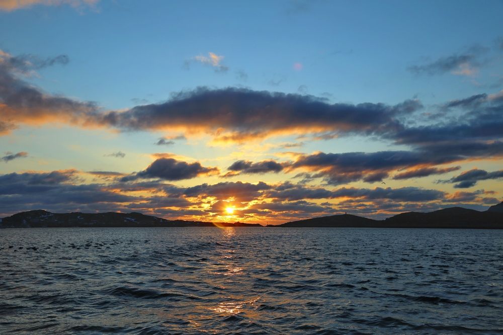 Норвежское море