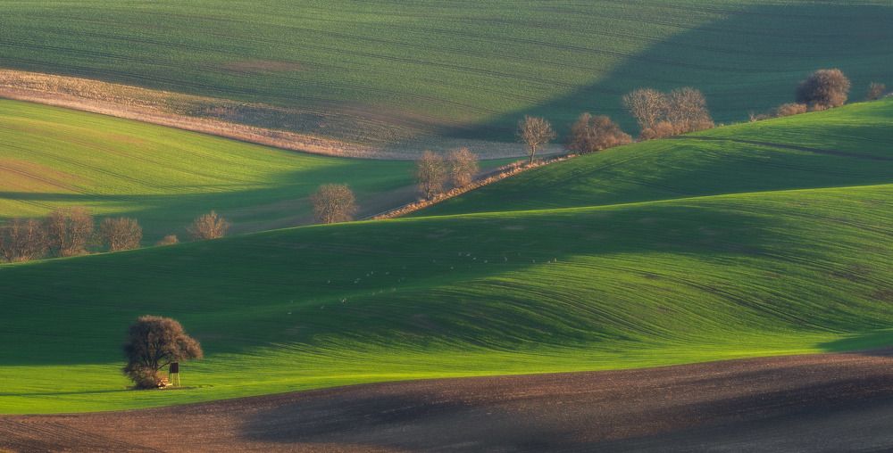 Spring