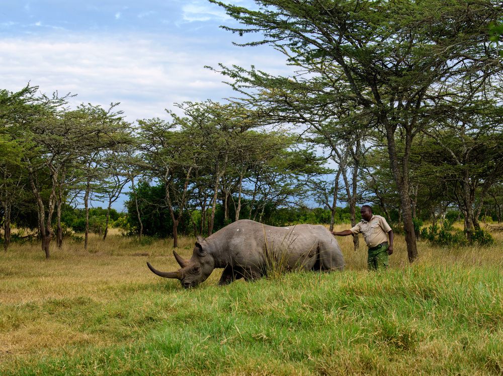 The man and his rhino